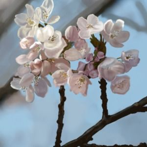 Meet your Posher, Shae